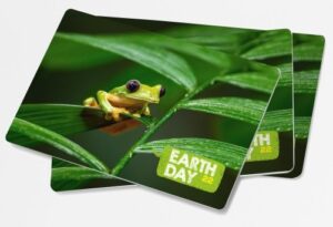 Enviro-magnets from Badger Design